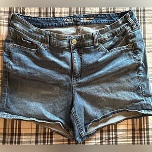 16 - torrid Mid-Rise Mid short